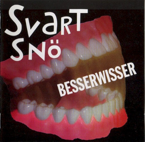 Besserwisser