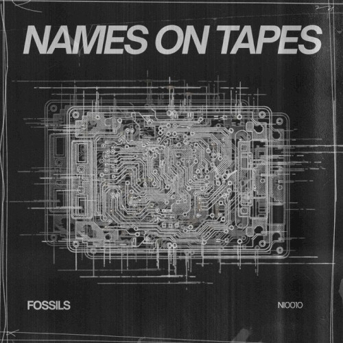 Fossils