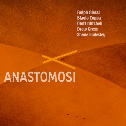 Anastomosi