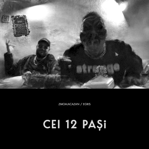 Cei 12 pași