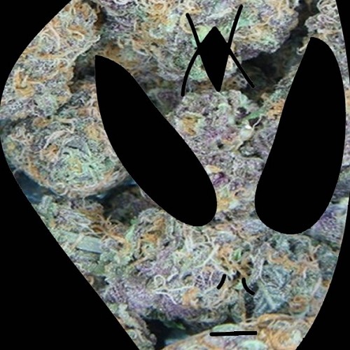 Cybermetal ::: Metallik Chicken