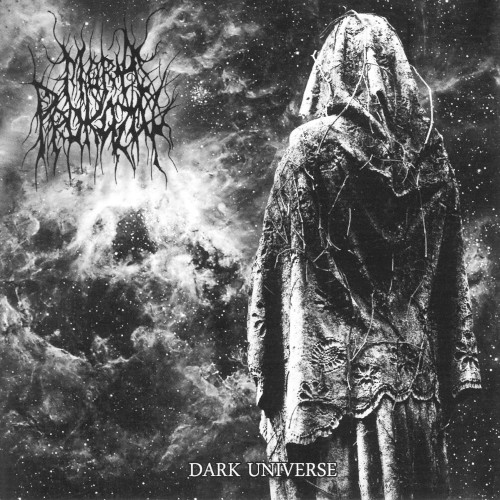 Dark Universe