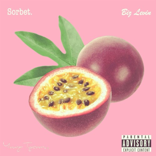 Sorbet.