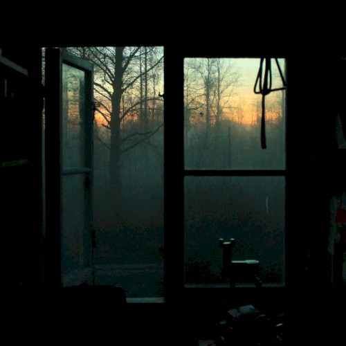 MOSS: revelations, landscapes, dreams