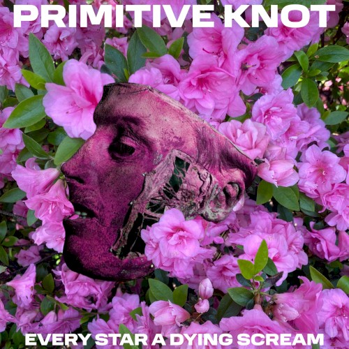 Every Star a Dying Scream