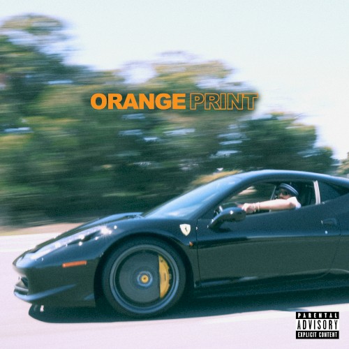 Orange Print