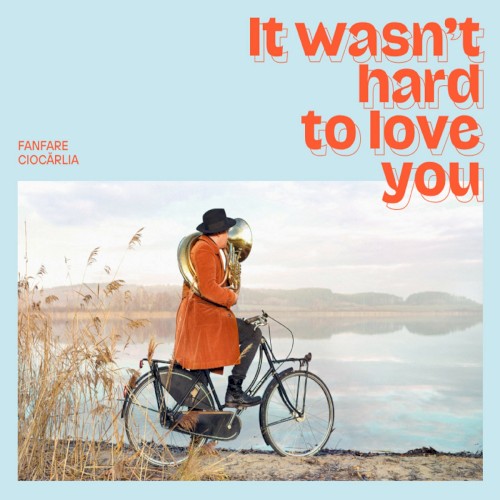 It Wasn't Hard To Love You