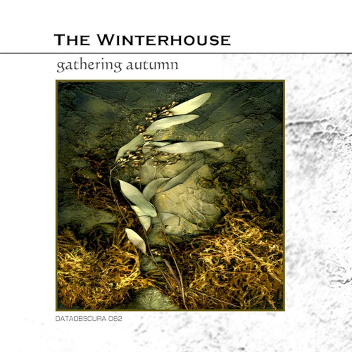 Gathering Autumn