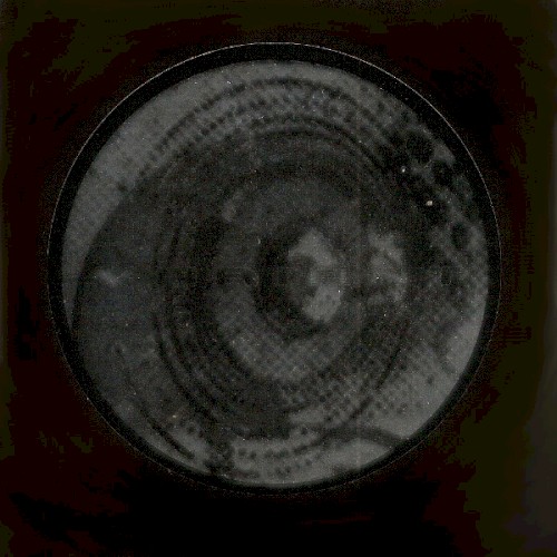 Vortexual [Element Two]