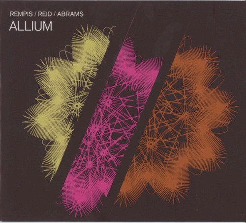 Allium