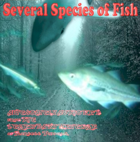 Several Species of Fish (collection from middle and high school)