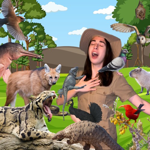 Zoozical, Vol. 1