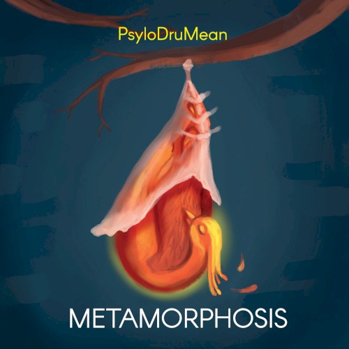 Metamorphosis