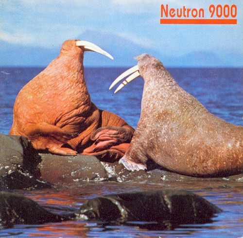 Walrus