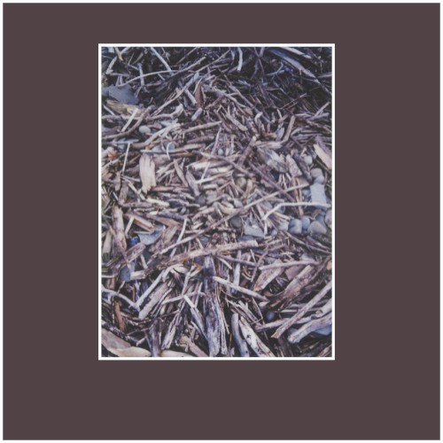 A Photograph of Wood