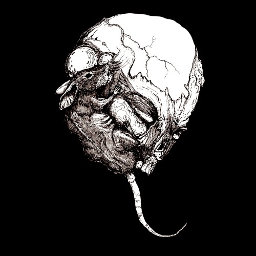Yersinia Pestis