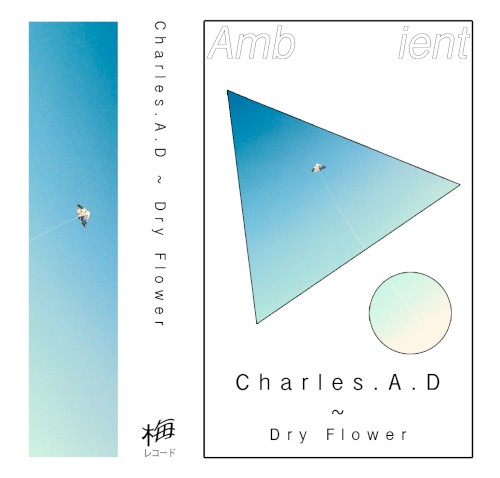 Dry Flower
