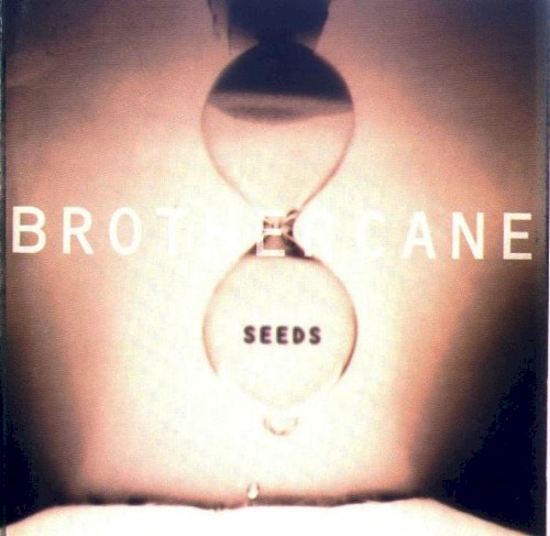 Seeds