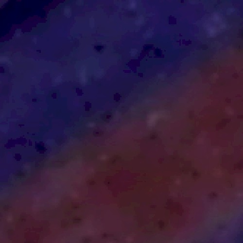 lemuria's presence