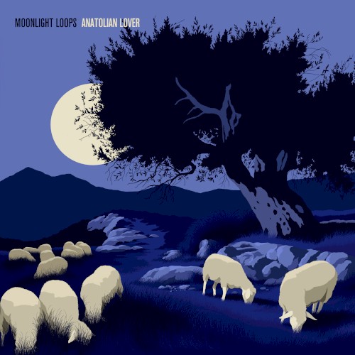 Moonlight Loops