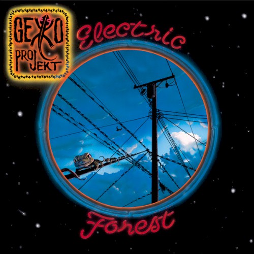 Electric Forest
