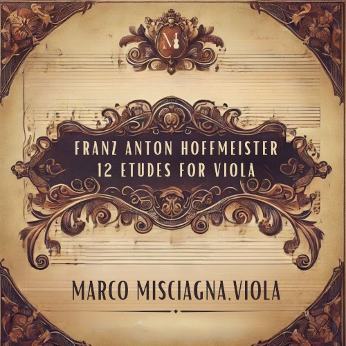 12 Etudes for Viola