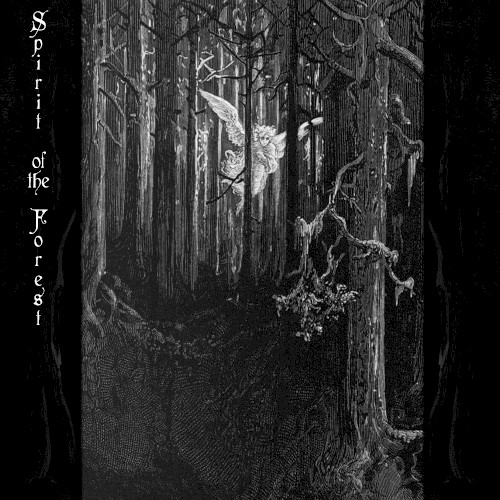 Spirit of the Forest