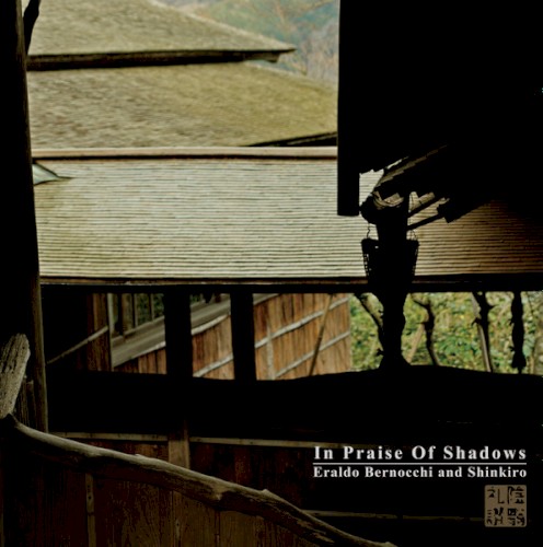 In Praise of Shadows