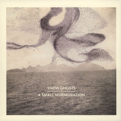 A Small Murmuration