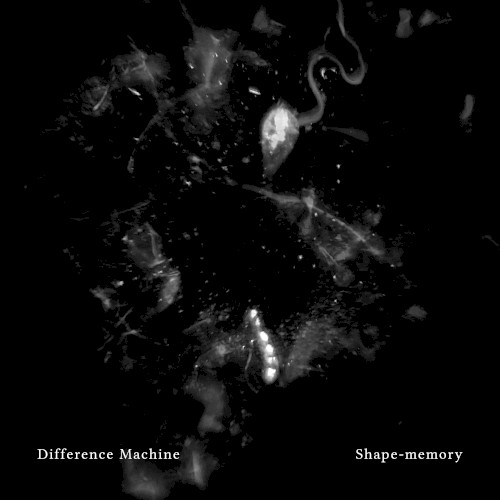 Shape-memory