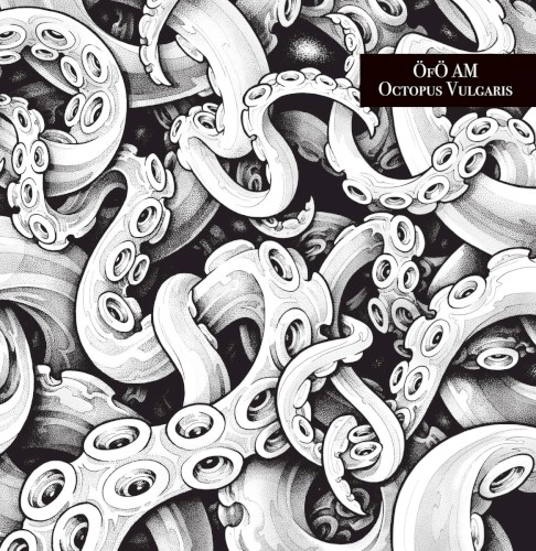 OCTOPUS VULGARIS