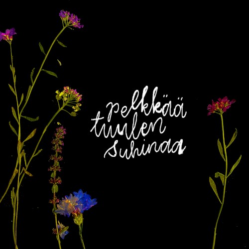 Pelkkää tuulen suhinaa