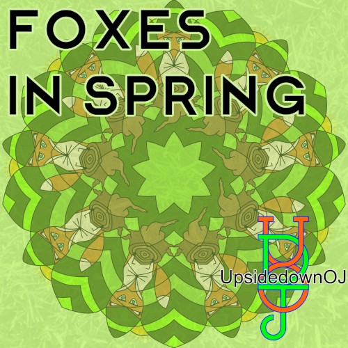 Foxes In Spring