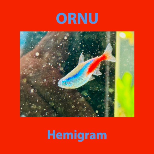 Hemigram