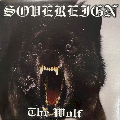 The Wolf