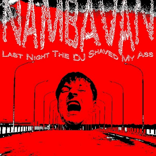 Last Night The DJ Shaved My Ass