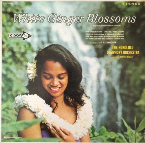 White Ginger Blossoms