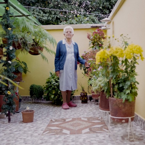 Primavera febril