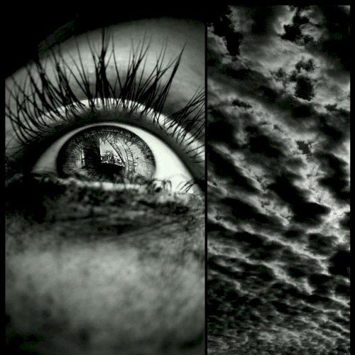 Illusions