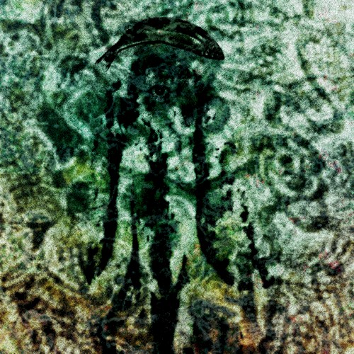 Pisciferous: Formless Tapestry