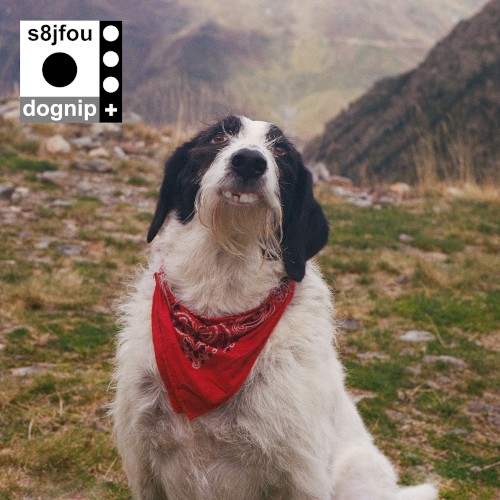 Dognip+