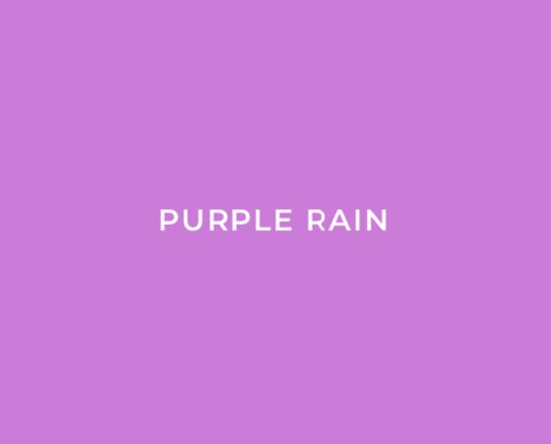 紫色の雨