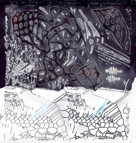 Emergence Vol. 1