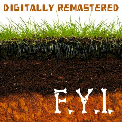 F.Y.I.