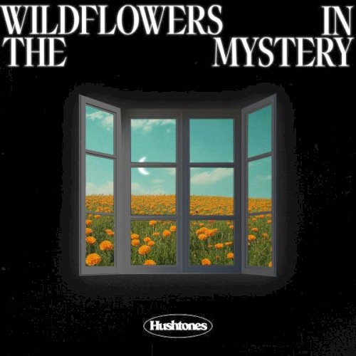 Hushtones &ndash; Wildflowers In The Mystery