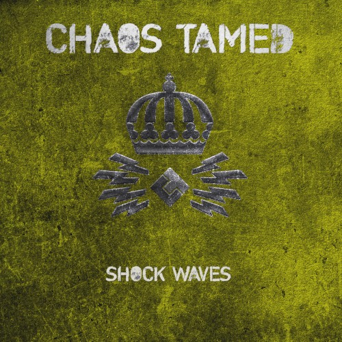 Shock Waves