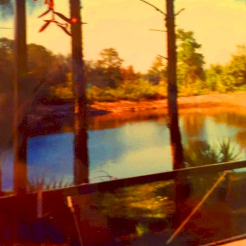 Nature's Hideaway