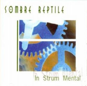 In Strum Mental