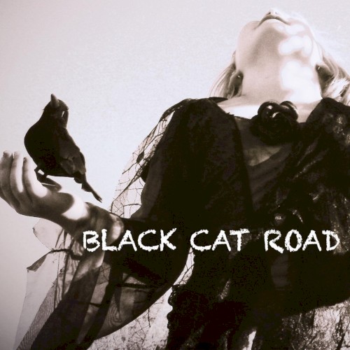 Black Cat Road