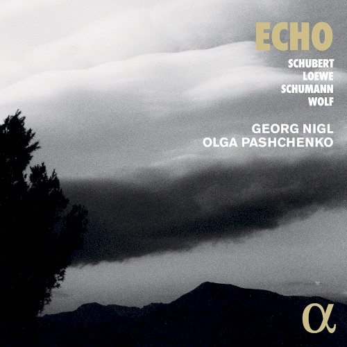 Echo